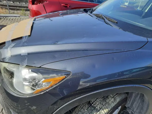 Dark blue car showing the front wing, headlight and bonnet